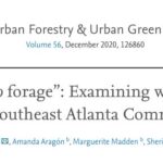 Black-Folks-Do-Forage